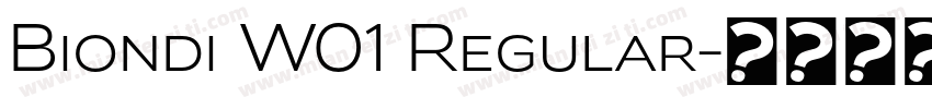 Biondi W01 Regular字体转换